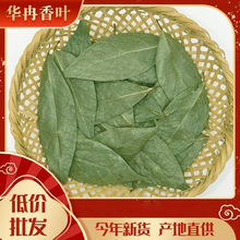 ���a�����ؾG���~�¹��~�ַ��u�������{ζƷ��؛�������l