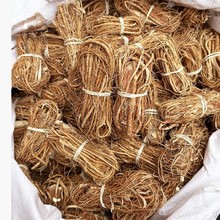 �V���R����ָë�Ҹ�؛�o���؛�Ҝ��������l����о���l�Įa��ֱ�l
