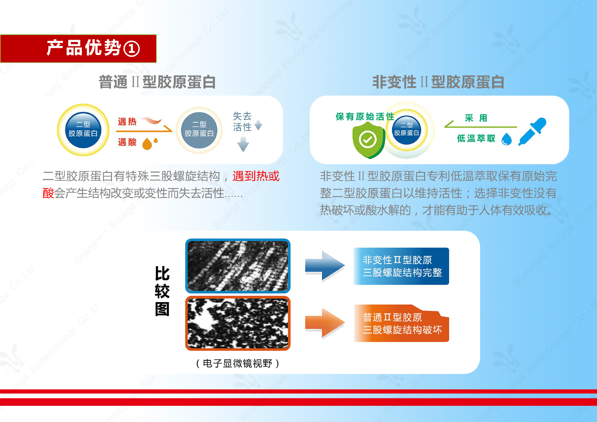 非变性--产品说明 葆力嘉-4 副本