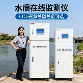 在线COD氨氮检测仪余氯浊度水质溶解氧PH电导率取水平台分析监测