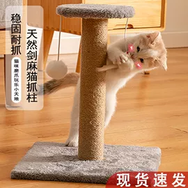 电脑桌;其他地板;多用折叠桌