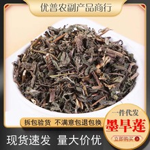 中药材批发旱莲草500g克正品旱连草墨旱莲可搭女贞子何首乌