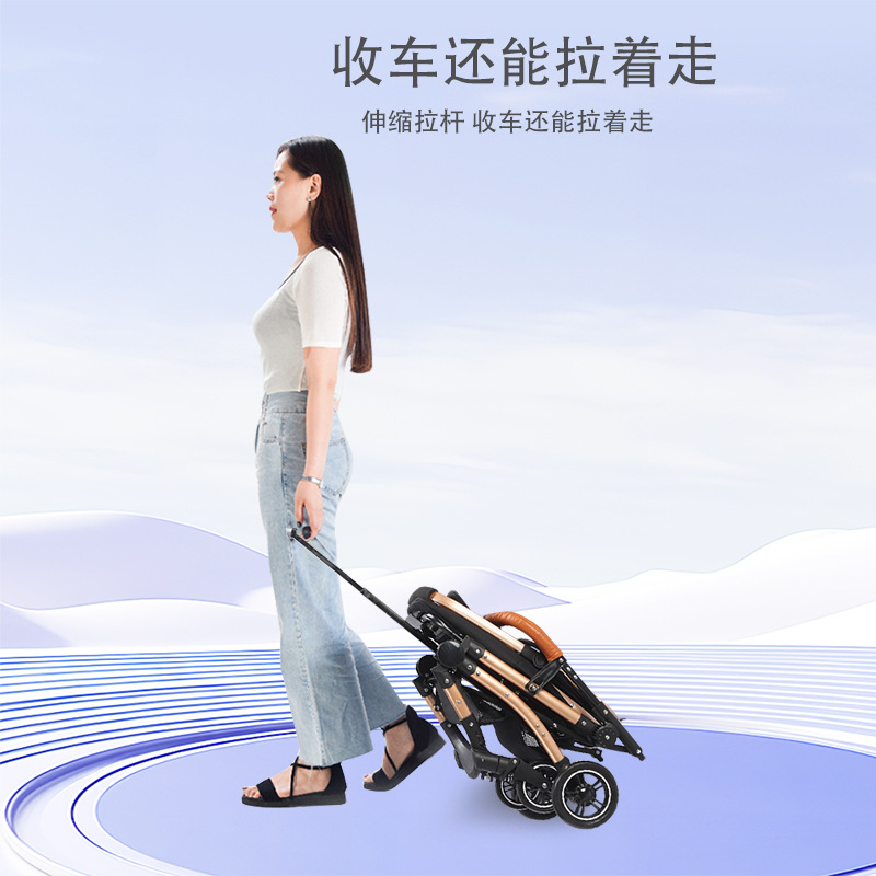 GVBB 애완 동물 카트 접이식 가벼운 개 고양이 작은 개 테디 카트 분리 가능한 아마존