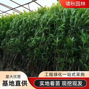 ������������h�ʱ��������~�S���ļ�����ͥԺ�G����ɺ���������