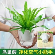 �B��ާ�����F��ާ��þGֲˮ���҃�ާ�ֲ������՚��ļ�����