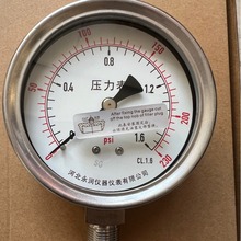 R BLD ȫPYTH-100 YBF-100