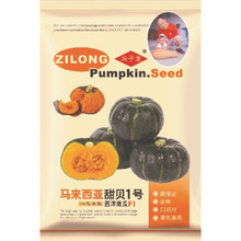 马来西亚甜贝1号西洋南瓜F1 广西横县子龙种业有限公司种植种子
