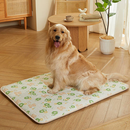 Sleeping with winter warm small dog dog bed mat teddy golden retriever dog bed sofa pet sleeping pad cat cage pad 