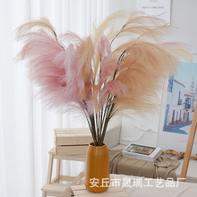 �����JȔ���W�L�u׃ɫ�J���滨�����Y�bθ��JȔ����˹�ݿ羳