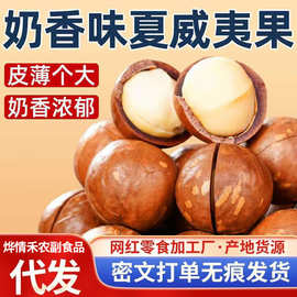 批发代发新货夏威夷果坚果批发500g奶油味干果孕妇零食整箱5斤