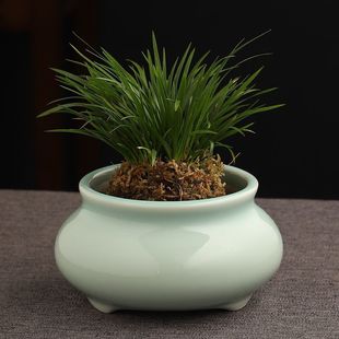 �o���~�X�����մ����lˮ��˯ɏ��ɏ�ɻ�ˮ��������ʽ�廨��