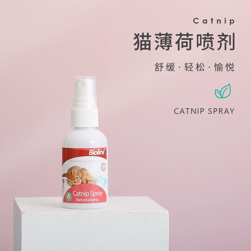 Кошачья мята спрей завод прямой для улучшения кошачьего волнения мятный спрей смешной Кот в наличии оптом