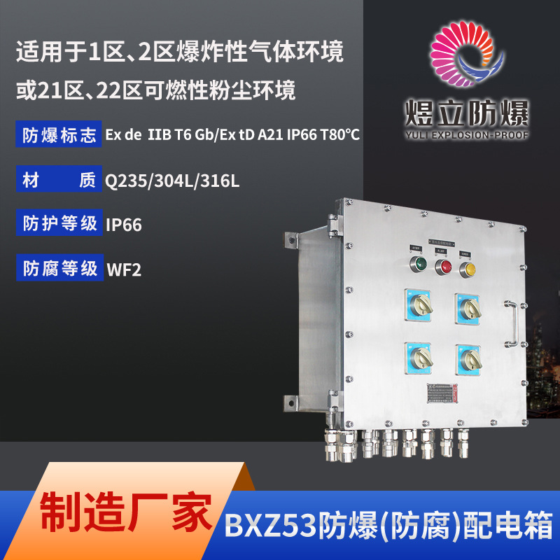 厂家直销现货供应BXZ53系列防爆防腐不锈钢ExdllB实心盖板配电箱