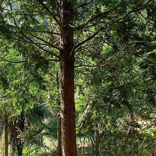 �������l �Ϸ��t��ɼ ���� �a�؃��݃r�� ͥԺ�e���Nֲ��N