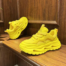 ���ֱ����ļ��W��͸�⼃ɫ��������ϵ�Ь�ٴ����m�r�����e����Ь