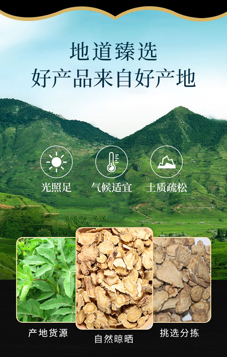 Qian Hu (Peucedanum praeruptorum) — Dried Bai Hua Qian Hu Root for Herbal Tea & Soup overview