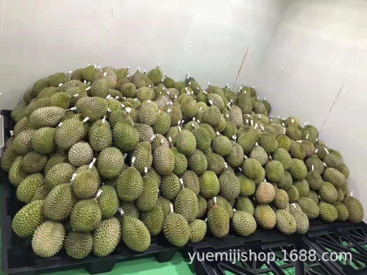 022ff62075edb0333fed1897f18071