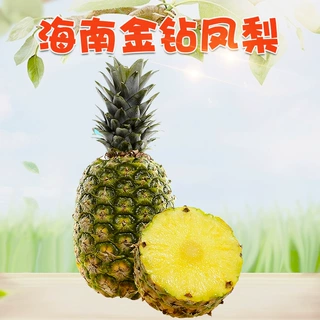 海南当季金钻凤梨 批发代发3/5/8/9斤礼盒中大果菠萝应季新鲜水果