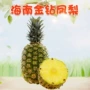 海南应季代发新鲜水果