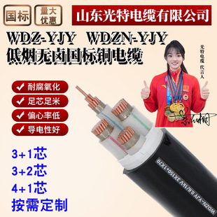 WDZN-YJY�͟��o�u�ͻ������~о��|��4+1*95/300/240ƽ���~��150
