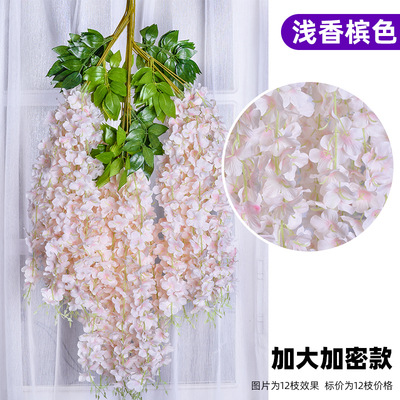 Cifrado Extra Grande-champán ligero