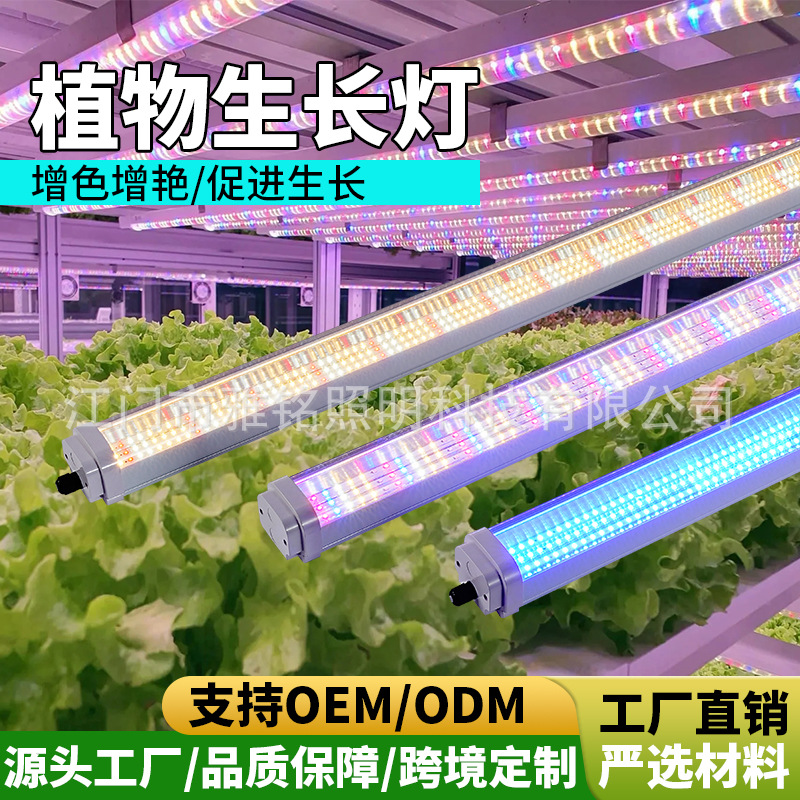全光谱T20三排一体植物灯管生长灯室内花卉蔬菜多肉种植LED补光灯