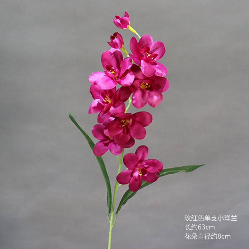 Rosa roja sola pequeña orquídea