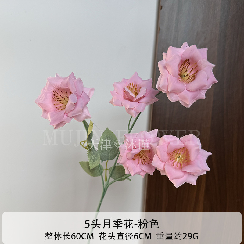 장미꽃 5개
