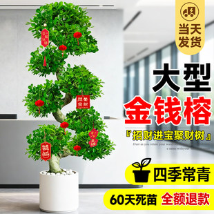 ���X����ؔ�Gֲ�����҃������k���������辰�[���ļ��������w�ͶY
