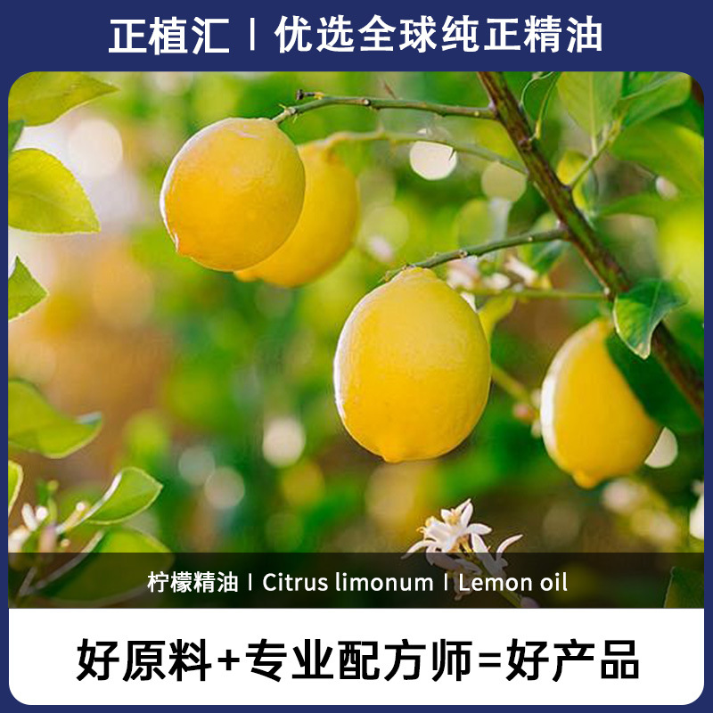 正植汇进口柠檬单方精油 美容院按摩香薰精油 化妆品植物香料批发