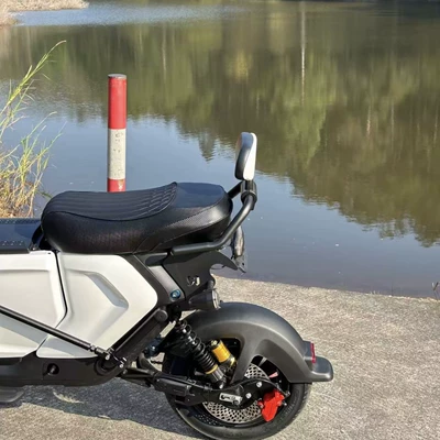 Delivery Electric Vehicles, Elektrikli motosikletlər