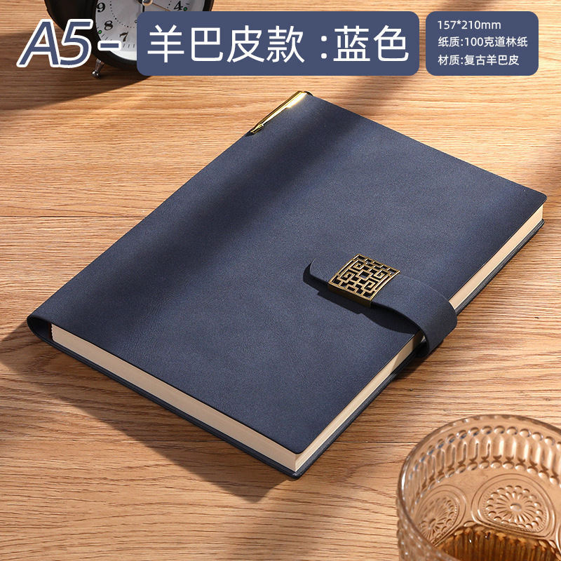 A5 blue pen plug -in