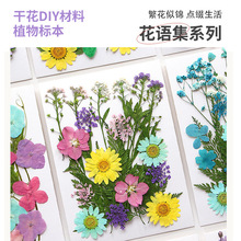 �ɻ��������ϰ� diyѺ���������z�ɻ������֙C������ֲ��˱�