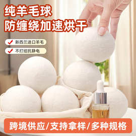 跨境羊毛球烘干机毛毡球干燥球家居洗衣烘干球外贸羊毛干燥球