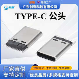 TYPE C 9PIN公头 常规卡钩 无插脚 拉伸壳/铆压壳   L=13.3  全贴