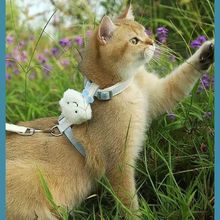 ż؈ͨKÓ{̩СKȮ