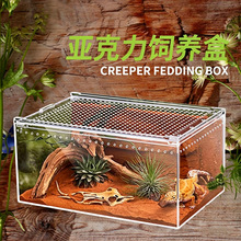 爬虫亚克力高透饲养盒PC盒守宫蜥蜴角蛙蜘蛛宠物蛇塑料盒造景爬箱
