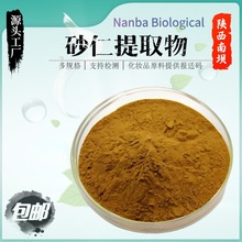 砂仁提取物10:1-50:1 砂仁粉 砂仁生粉 砂仁浓缩粉SC厂现货