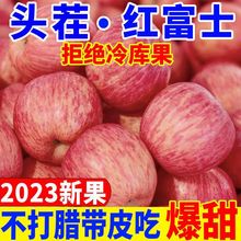 【不脆甜包赔】冰糖心水果新鲜应季水果批发丑红富士脆甜