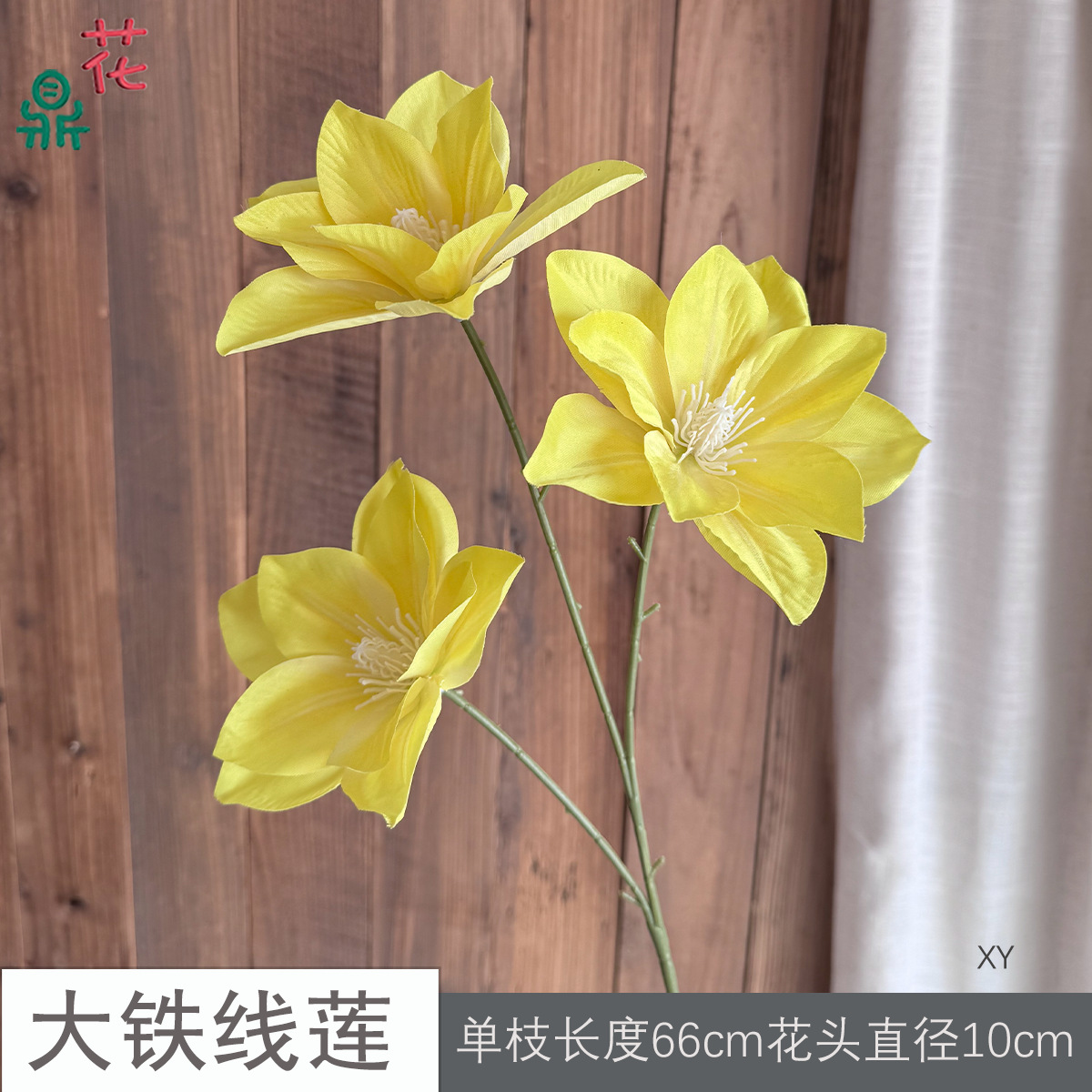 Clematis XY màu vàng