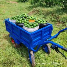 48V���@늄�����܇ ɽ�������u��܇ �����߲˻��ʼZʳ���\ƽ��܇