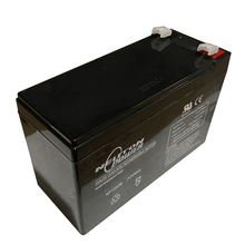 Neuton Power늳NP12120M 12V12AH UPSԴ EPS