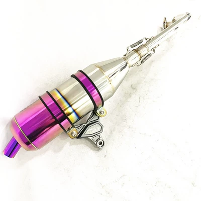 Motorcycle exhaust pipe Stainless Steel Side-Wound Purple