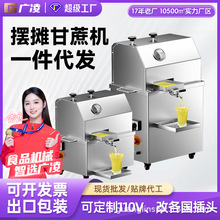 广凌商用立式甘蔗榨汁机压榨机蓄电瓶全自动铜线电机压榨机甘蔗机