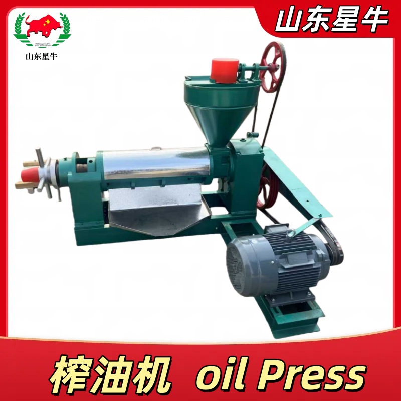 食用油大豆加工设备花生芝麻全自动商用冷热炸螺旋榨油机菜籽油机