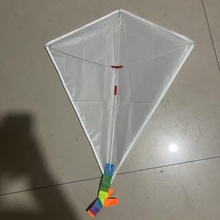 Amazon Cross-Border Aliexpress Pterosaur Kite Kite Line New Graffiti Kite Blank Handmade Material Package