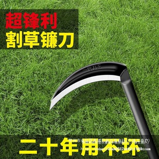 砵���ݵ��r�Ñ�������L���i��ֹ�呴��z�ݸ����ӵ�С�B����ɫ