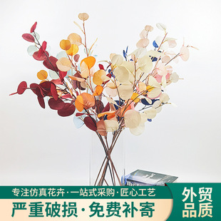 ���滨�ȼ����O���~ins�P�W�t�Ƶ��c�b��~����ɫ��֦����