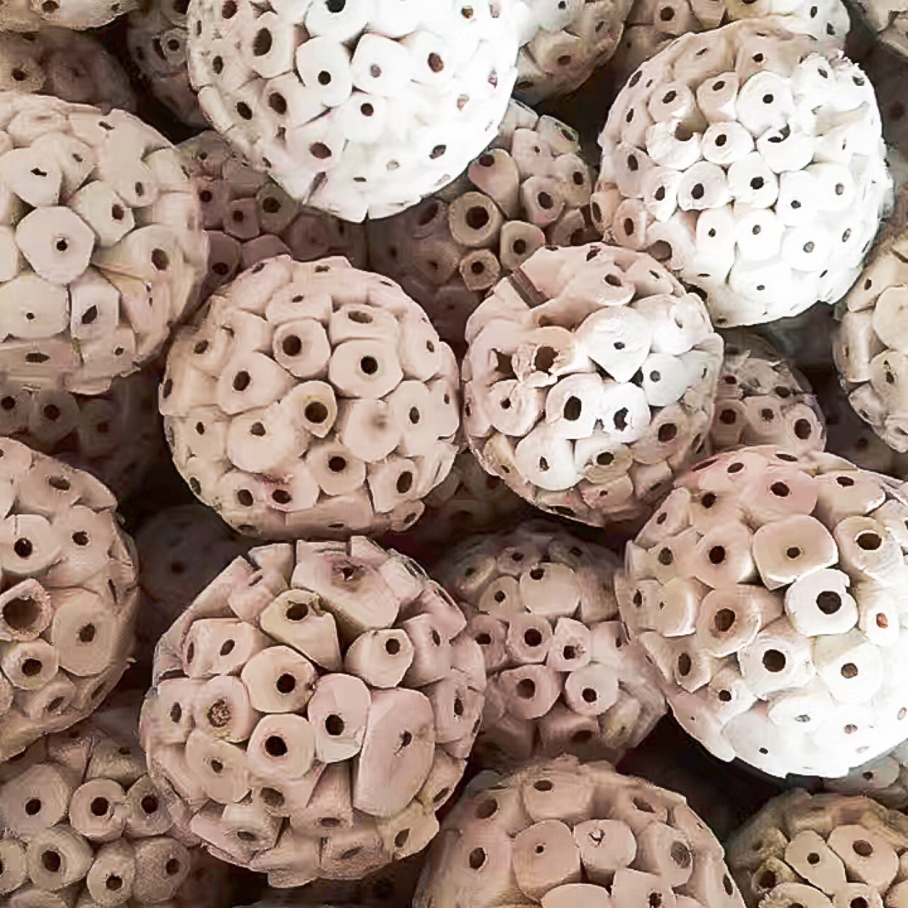 Tetrapanax papyrifer ball, bird, parrot, rabbit, hamster, guinea pig bird toy, natural edible chewing and foraging toy.