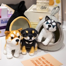 羳СCëq߿ɐ۴ȹʿ_{ɶ˹C